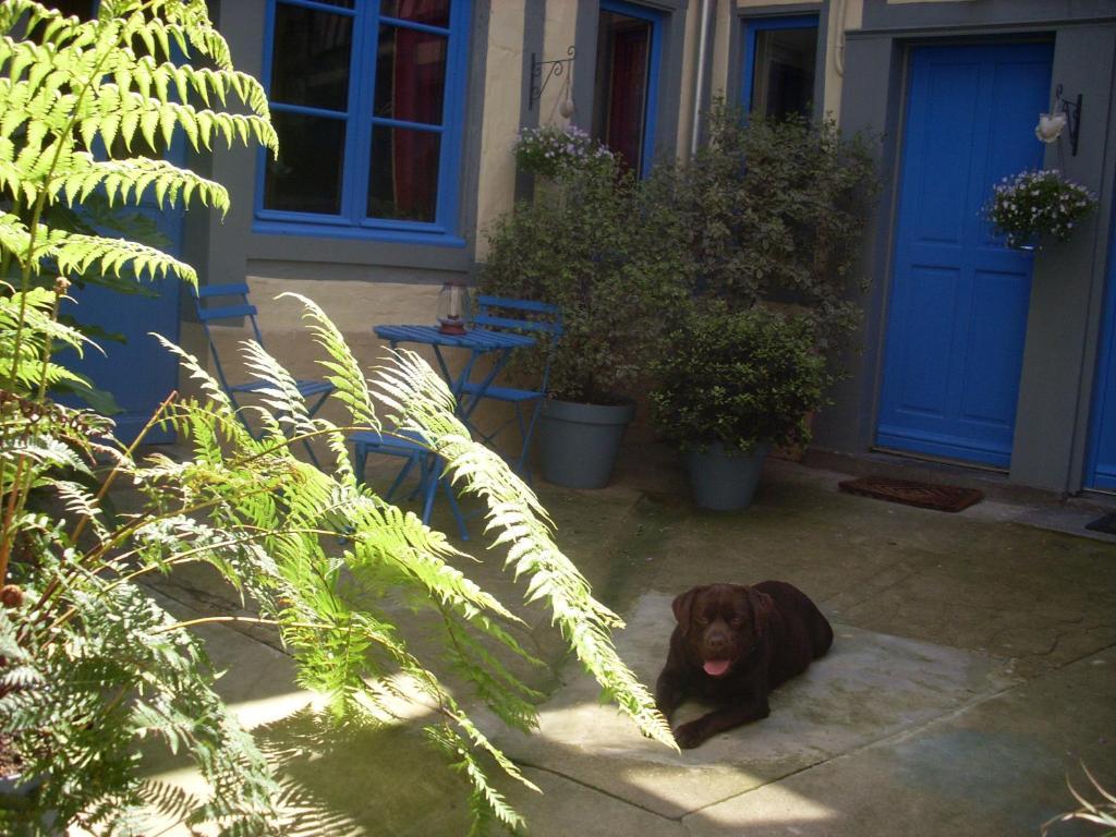 Reglisse Et Pain D'Epices - Chambres D'Hotes Honfleur Dış mekan fotoğraf